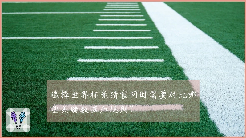 选择世界杯竞猜官网时需要对比哪些关键数据和规则？
