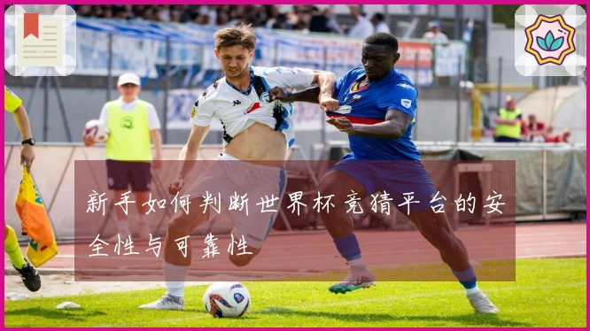 新手如何判断世界杯竞猜平台的安全性与可靠性