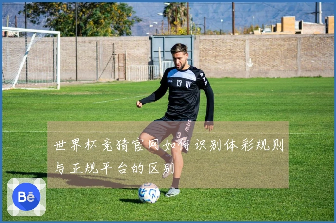 金年会体育资讯图片