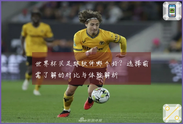 世界杯买足球软件哪个好？选择前需了解的对比与体验解析