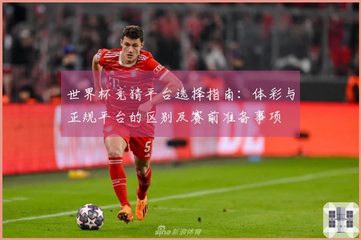 世界杯竞猜平台选择指南：体彩与正规平台的区别及赛前准备事项