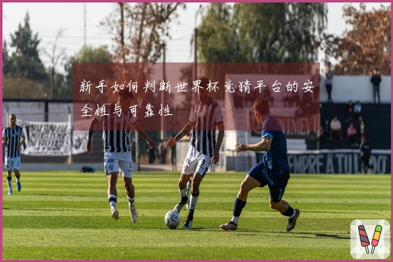 新手如何判断世界杯竞猜平台的安全性与可靠性