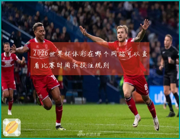 2026世界杯体彩在哪个网站可以查看比赛时间和投注规则