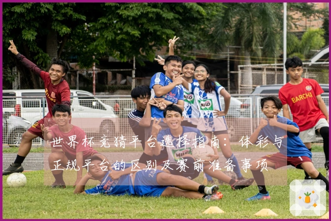 世界杯竞猜平台选择指南：体彩与正规平台的区别及赛前准备事项